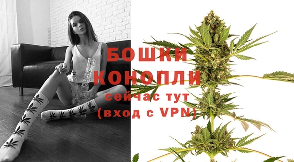 стаф Володарск
