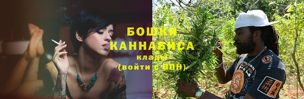 Альфа ПВП Тавда