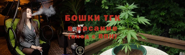 PSILOCYBIN Волосово